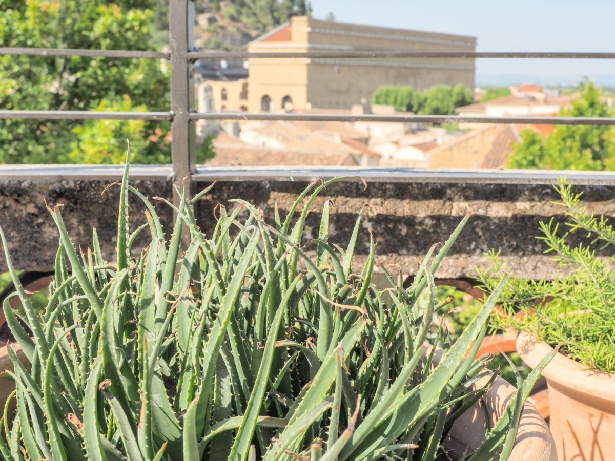 Le Rooftop - Vue Incroyable Sur Le Theatre Antique Orange  Luaran gambar